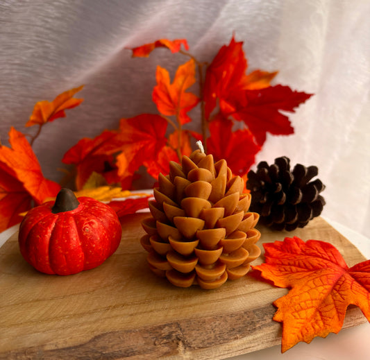 🍂 Bougie - Pomme de pin🌲