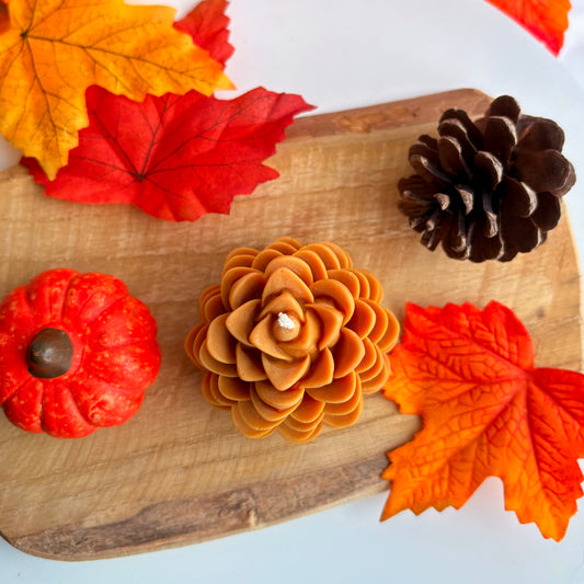 🍂 Bougie - Pomme de pin🌲